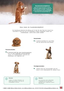 - AMB Informationen zur Hundehalter Haftpflichtversicherung pdf